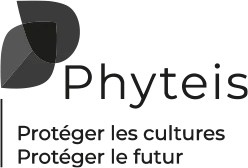 Phyteis